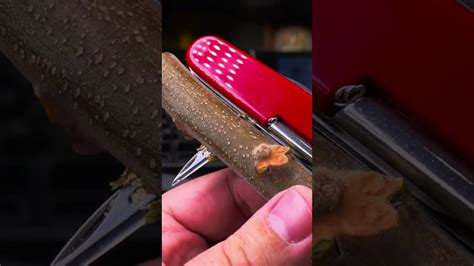 Swiss Army Knife Hacks