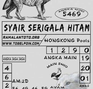 Syair HK Kucing Hitam