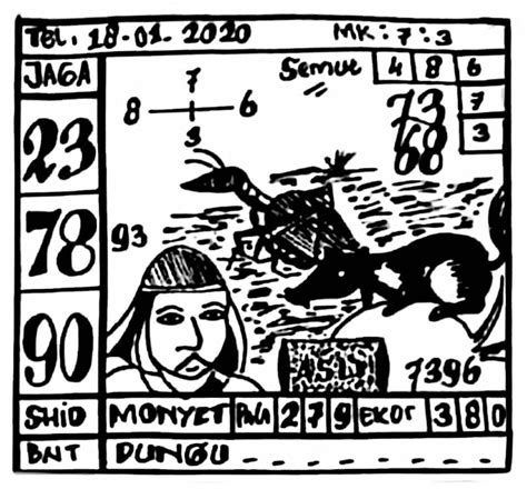 Syair SGP Kucing Hitam