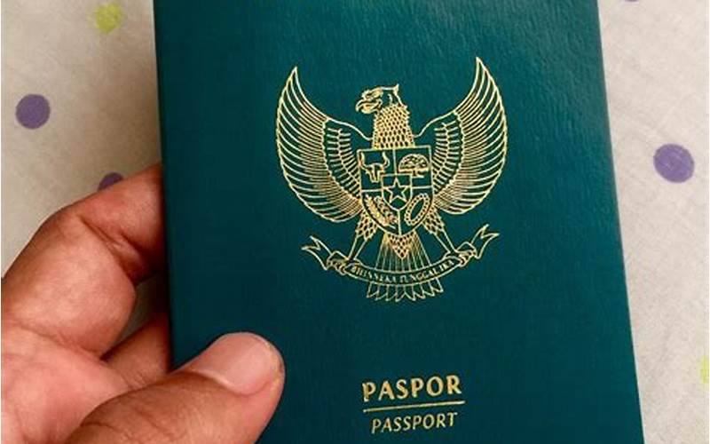 Syarat Dan Ketentuan Menggunakan Paspor On Line