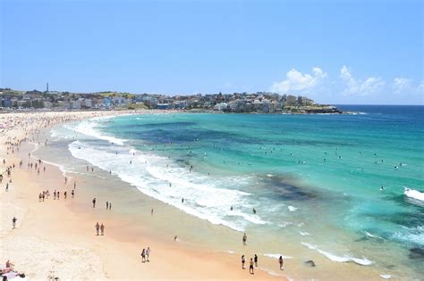 Sydney’s Best Beaches: A Private Tour Review