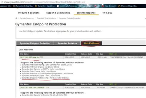 Securing Your System with Symantec 11 Virus Definitions: The Ultimate Weapon Against Cyber Threats
