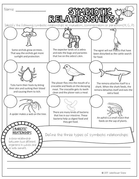 Symbiotic Relationship Worksheet Answer Key