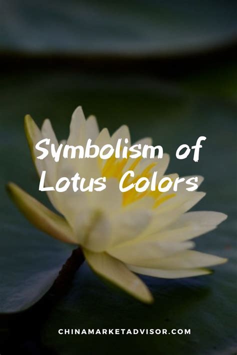 Symbolism and Feng Shui Significance
