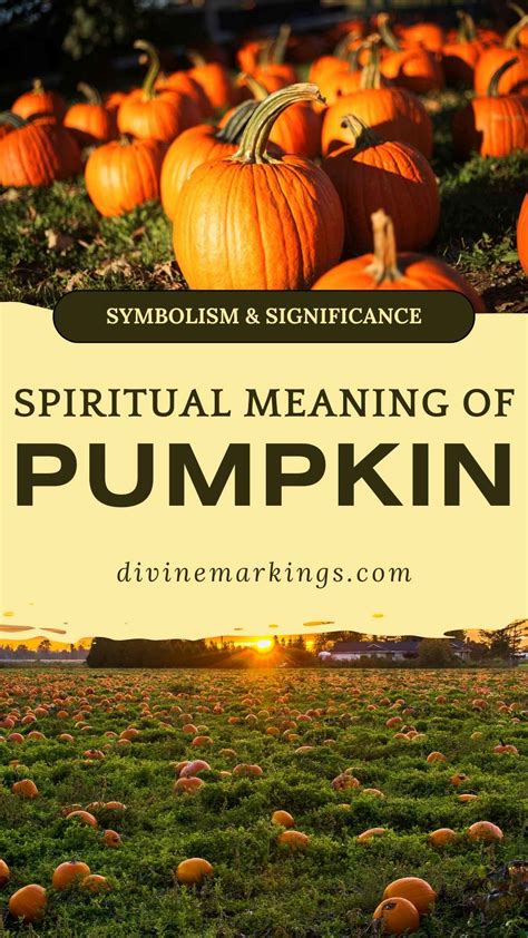 Symbolism and Significance