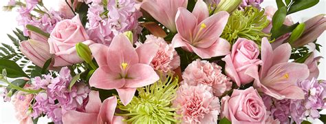 Sympathy Bouquets and Baskets