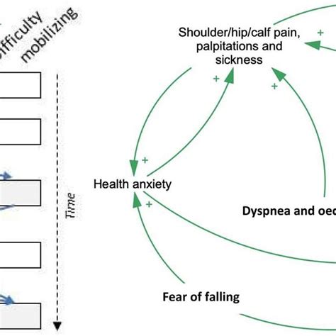 Symptom Evolution Over Time