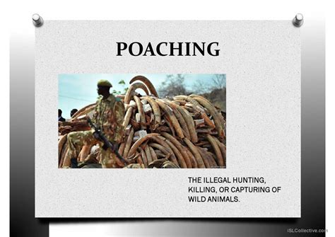 Synonym For Poaching