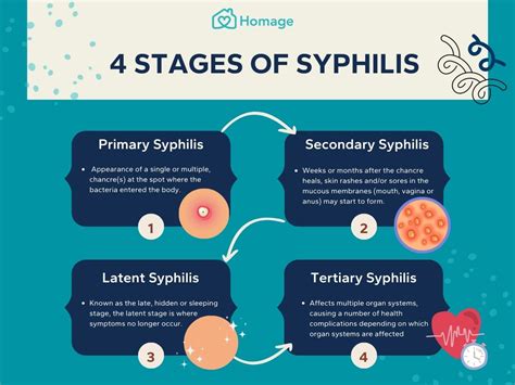 Syphilis & Pregnancy: Risks, Symptoms, Prevention.