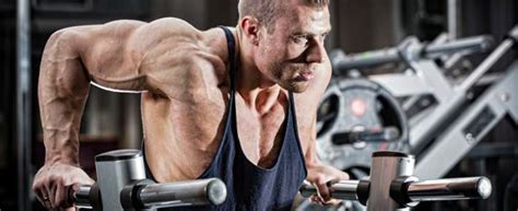 T Nation Workout Routines