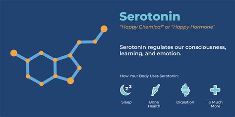 TDO and Serotonin Levels