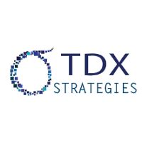 TDX Strategies AI Platform