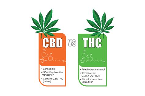 THC and CBD
