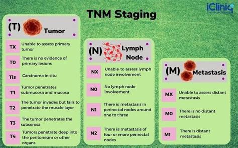 TNM Staging System