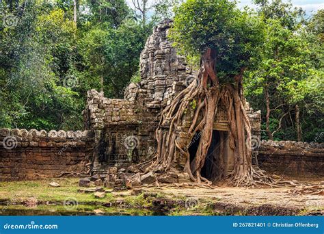 Ta Som temple trees
