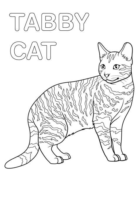 Tabby Cat Coloring Page