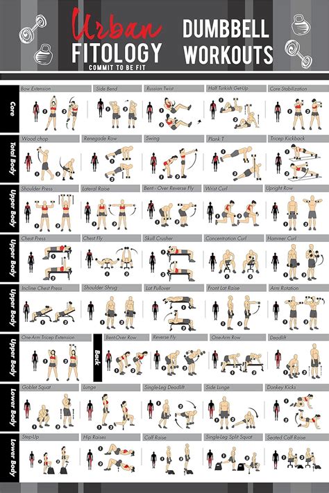 Tabla De Ejercicios Gym Tablas de ejercicios gimnasio - Ejercicios En Casa