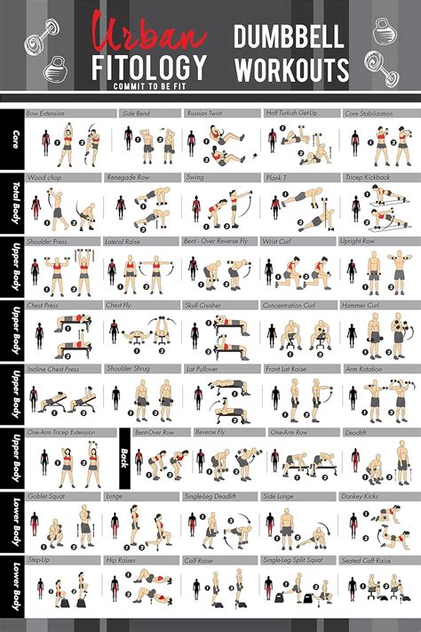 Tablas Para El Gimnasio Tablas de ejercicios gimnasio - Ejercicios En Casa