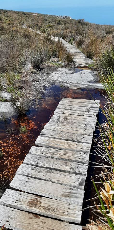 Table Mountain boardwalk