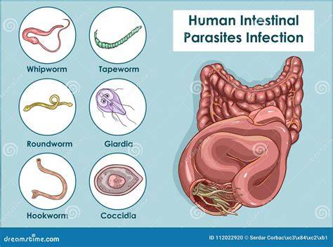 Tackling Intestinal Parasites Head-On