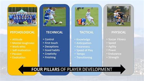 Tactical Evolution and Player Development