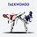 Taekwondo Illustration
