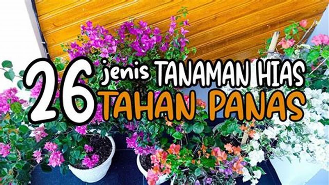 Tahan Angin, Tanaman