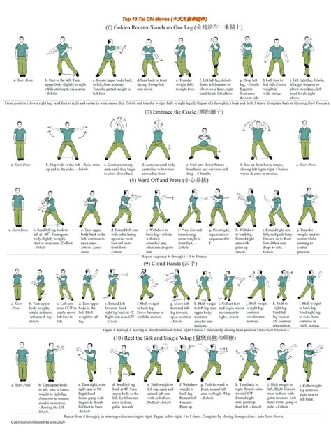 Tai Chi Moves Chart