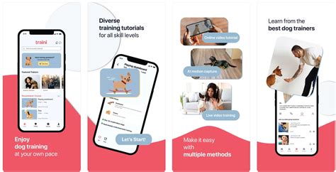 Tail-Wagging Fun: Daily Programs and Enrichment