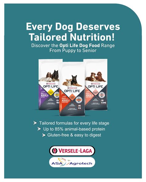 Tailored Formulas for Every Dog