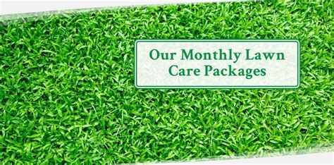 Tailored Lawn Care Packages