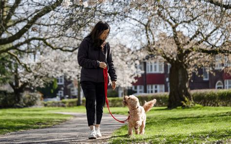 Take The Dog