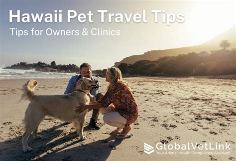 FAQ: Traveling with your Pet to Hawaii - Airpets International
