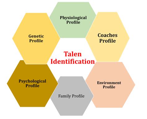 Talent Identification PowerPoint Template PPT Slides