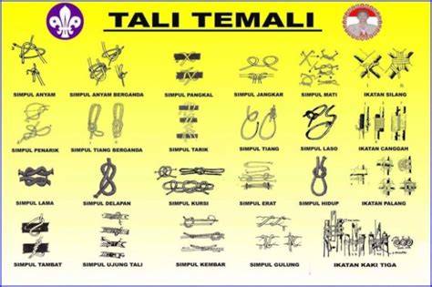 Tali Temali