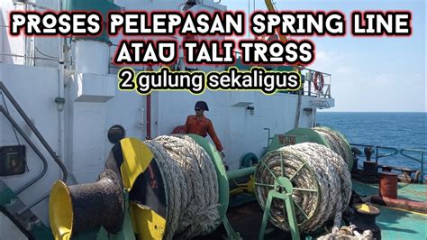 Tali Tros Dan Spring