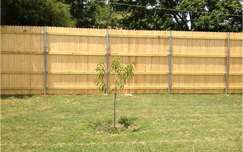 Tall White Privacy Fence Wood: Advantages, Disadvantages, And Faqs