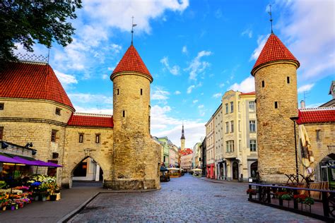Tallinn Tour Feedback