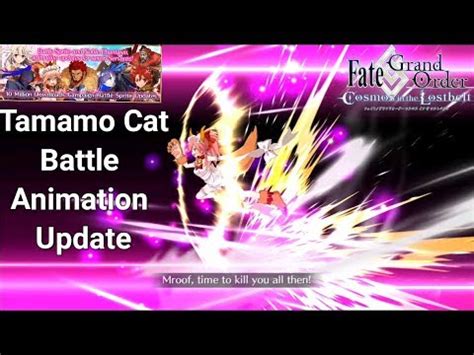 New Tamamo Cat Animation Update: Experience the Excitement with Latest Visual Enhancements!