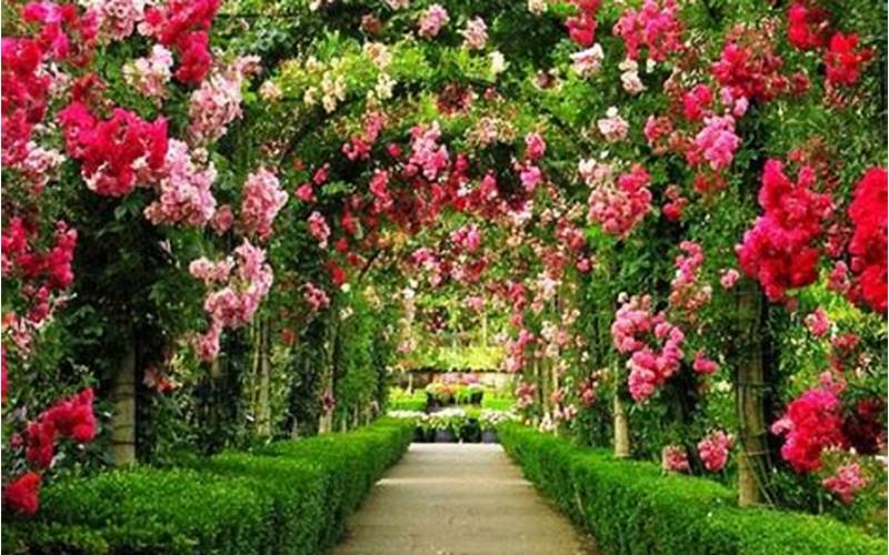Taman Bunga Yang Cantik