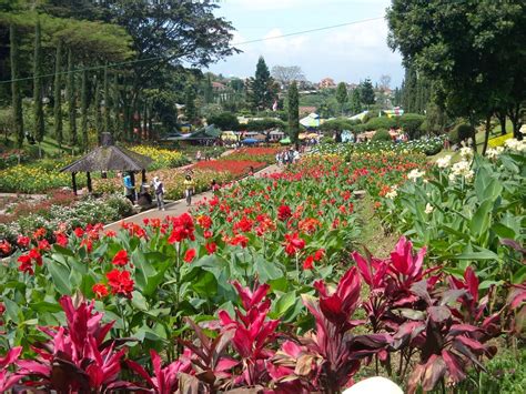 Taman Bunga Begonia Park
