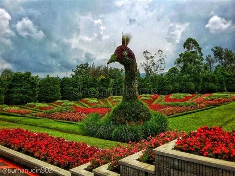 Taman Bunga Nusantara di Indonesia
