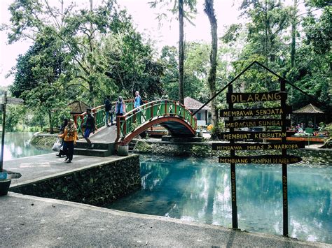 Taman Wisata Sesaot Lombok