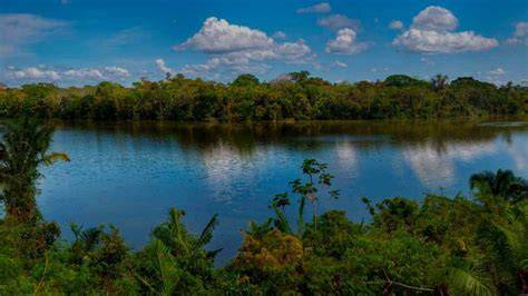 Tambopata Sandoval Lake Overview
