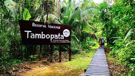 Tambopata Tour Operators