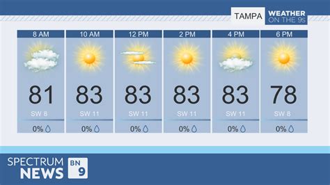 Dive Into the Dynamic Weather of Tampa Hourly: Comprehensive Updates Await You!
