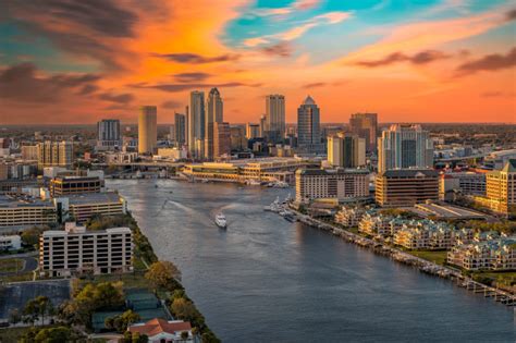 Tampa en verano