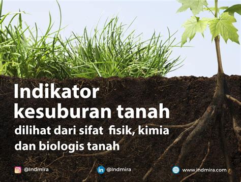 Tanah yang Sehat untuk Tumbuhan