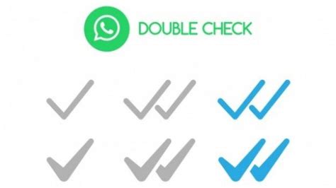 Cara Mengetahui Pesan di Grup WhatsApp Sudah Dibaca Tanpa Harus Bertanya