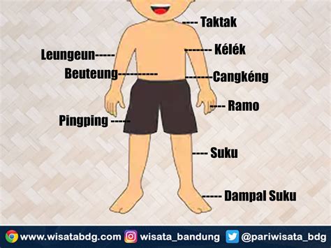 Tangan dan Kaki